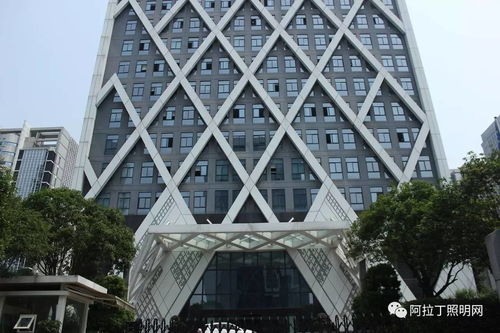 重大爆料 重慶照母山公園及黃山大道沿線 五標段 景觀燈飾工程施工單位被爆假冒 ad 品牌產品 涉案金額700萬